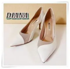 DIANAダイアナ♡ホワイト×クリア　ポインテッドトゥパンプスのサムネイル