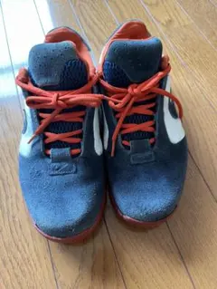NIKESB AIR ZOOM URL 27cmのサムネイル