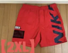 NIKE SB ナイキ エスビー ナイロン ショートパンツのサムネイル