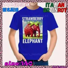 新品✩イタリアンブレインロット✩Tシャツ✩青✩140✩年末年始特別価格✩