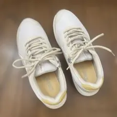 ASICS ウェルネスウォーカー25.0cmレディース3E チャック付き