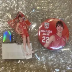 北窓絢音 アクリルキーホルダー 2026 バレーボール女子日本代表 - メルカリ