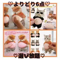 よりどり６枚セット 3Dシール おなかシール 犬 猫 セット