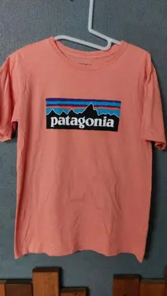 Patagonia パタゴニア Tシャツ ロゴ　レディースXXLのサムネイル