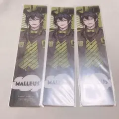 ツイステ マレウス ユニオン バースデー しおり