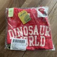 Item thumbnail for item de281149-86c2-49bc-9981-32f68f289be8