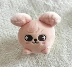 SKZOO スンミン PuppyM パピーム バッグチャーム