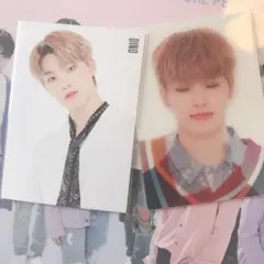 ディノ トレカセット