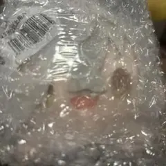 中国 あんスタ　絵星絵楽 もちもち マスコット ぬいぐるみ　大神晃牙