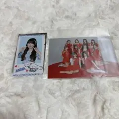 イコラブ 山本杏奈 サンリオシナモンフォトカード ＣＤ抽選参加賞生写真