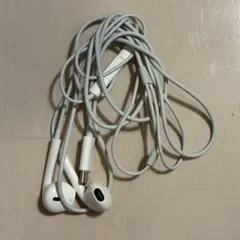Apple純正 USB Type-C 有線イヤホン 本体 ホワイトのサムネイル