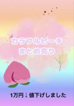 からぴちまとめ売りバラ売り〇即購入〇 - メルカリ