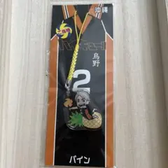 ハイキュー 菅原孝支