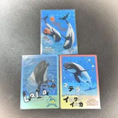 2026年最新】鳥羽水族館カードの人気アイテム - メルカリ