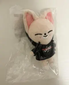 Stray Kids スキズ アイエン ミニ SKZOO