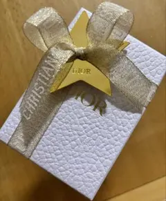 【新品未使用】ディオール 2025顧客限定スターキーチャーム キーホルダー