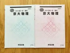 【ロドリゴでボール】河合塾大学受験科 2024年度　化学　地理5冊セット ロドリゴでボール】河合塾大学受験科 2024年度 化学 地理5冊