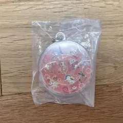 底値⭐︎【翌日発送】ガスト　ポケモン30th 迷路チャーム【即購入可】