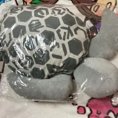 2025年最新】渋谷すばる 亀の人気アイテム - メルカリ