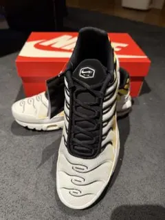 Nike Air Max Plus ホワイト/ブラック/ゴールド
