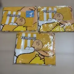 PEANUTS スヌーピー スイートタオルセット　3点のサムネイル