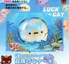 海外スクイーズ