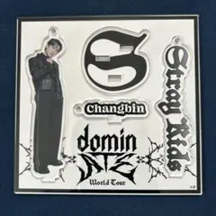 Stray Kids Changbin アクリルスタンド
