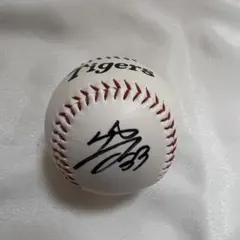 Item thumbnail for item 119e0823-a843-4a96-b410-669a92e3982f