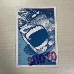 ヒロアカ ONE SCENE CARD COLLECTION 轟焦凍