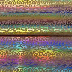 Item thumbnail for item 6707f419-7c01-480e-b76f-aeffed253016