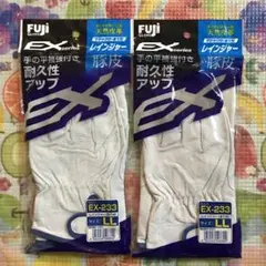 Item thumbnail for item 570807a5-9b03-4222-9153-ac35c8da2ef7