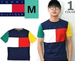 【激カワ！絶版カラー】TOMMY HILFIGER マルチカラー Tシャツ М