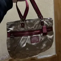 Item thumbnail for item 764cc0ab-0171-4333-bba7-05070c50f1a6