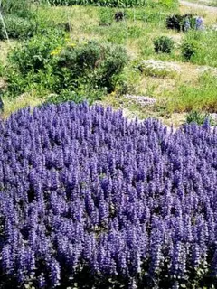 まちたま様 リクエスト 2点 まとめ商品