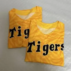 Item thumbnail for item af1a0fa1-dc09-48f0-99ed-98a1c719e8d7