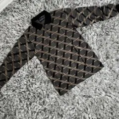 Item thumbnail for item 5f213902-e40e-4146-8076-5bc8a7c6f24d