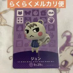 2026年最新】ジュン amiiboカードの人気アイテム - メルカリ