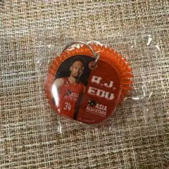 A.J. エドゥ　Bリーグオールスター　キーホルダー