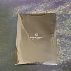 亀と山P スペシャル・リーフレット