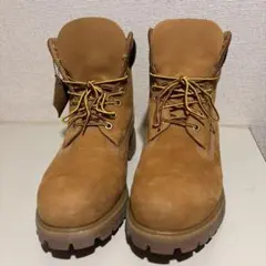 Item thumbnail for item 7a899e83-3fde-40a5-bcde-a01888290c17