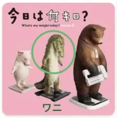 今日は何キロ？　ワニ　タニタ×パンダの穴　自販機ガチャ