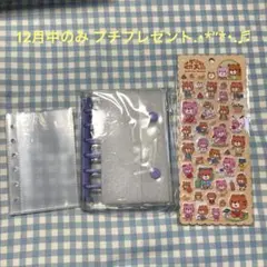 A7 クリアバインダー (パープル) ポケットリフィル10枚