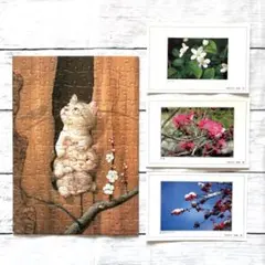 Item thumbnail for item 093472b9-7342-4456-833b-72e0f53e348e