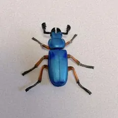 2025年最新】コルリクワガタの人気アイテム - メルカリ