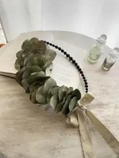 ポポラス　ドライリース