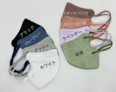 バイカラーマスク 不織布 3Dマスク 50枚 立体マスク 4層構造