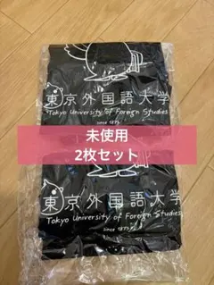 貴重　新品未使用　東京外国語大学 エコ巾着バッグ ブラック 2枚セット