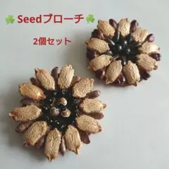 ブローチ《Seed Flower》2個