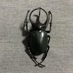 やすっしー様 リクエスト 2点 まとめ商品