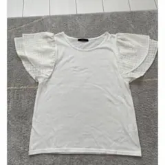 Item thumbnail for item 67faaba1-eff4-43df-b496-e0559eb4cf56